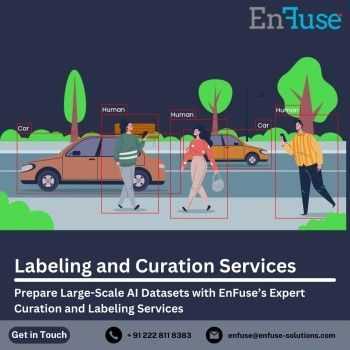 prepare-large-scale-ai-datasets-with-expert-labeling-services-big-0