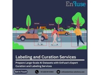 prepare-large-scale-ai-datasets-with-expert-labeling-services-small-0
