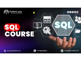 looking-for-an-industry-focused-sql-course-now-small-0