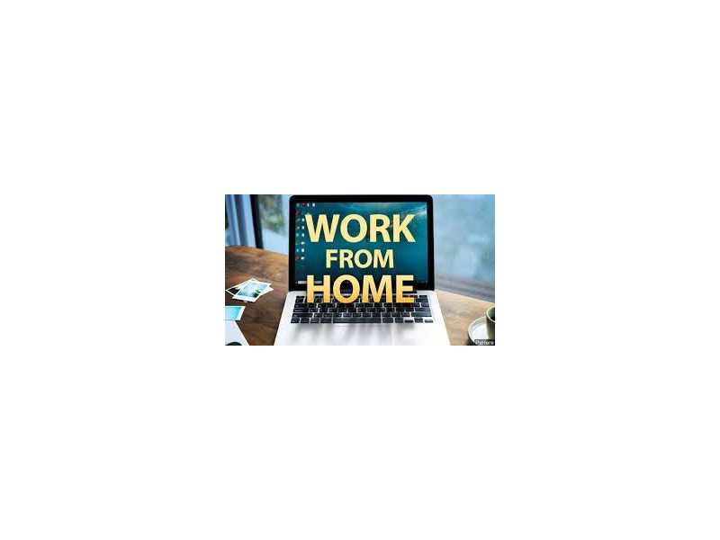 earn-from-home-form-typing-project-7708244092-small-0