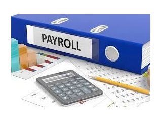 trusted-payroll-provider-in-india-for-accurate-salary-processing-small-0