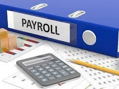 trusted-payroll-provider-in-india-for-accurate-salary-processing