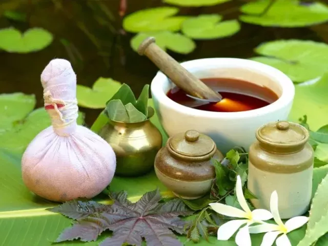 beehive-ayurvedic-medical-college-hospital-dehradun-2026-27