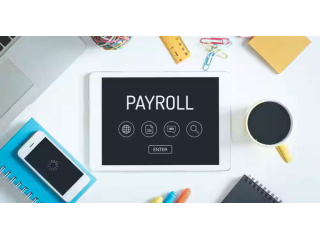 consultant-payroll-in-india-accurate-compliant-payroll-solutions-small-0