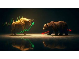bull-market-vs-bear-market-smart-investment-strategies-for-each-small-0