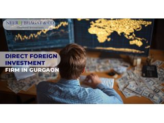 direct-foreign-investment-firm-in-gurgaon-expert-fdi-advisory-small-0