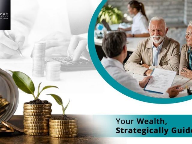 professional-wealth-management-services-for-long-term-financial-growth