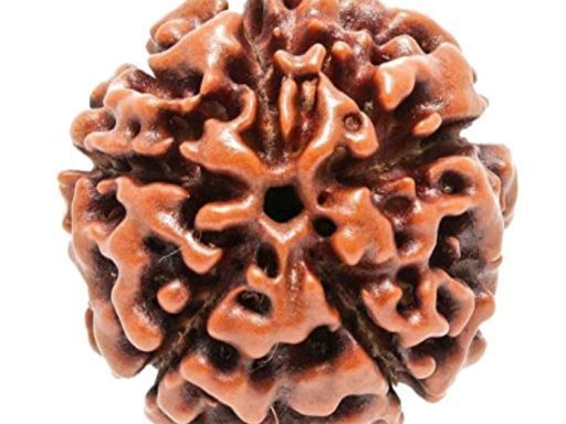buy-authentic-rudraksha-beads-online