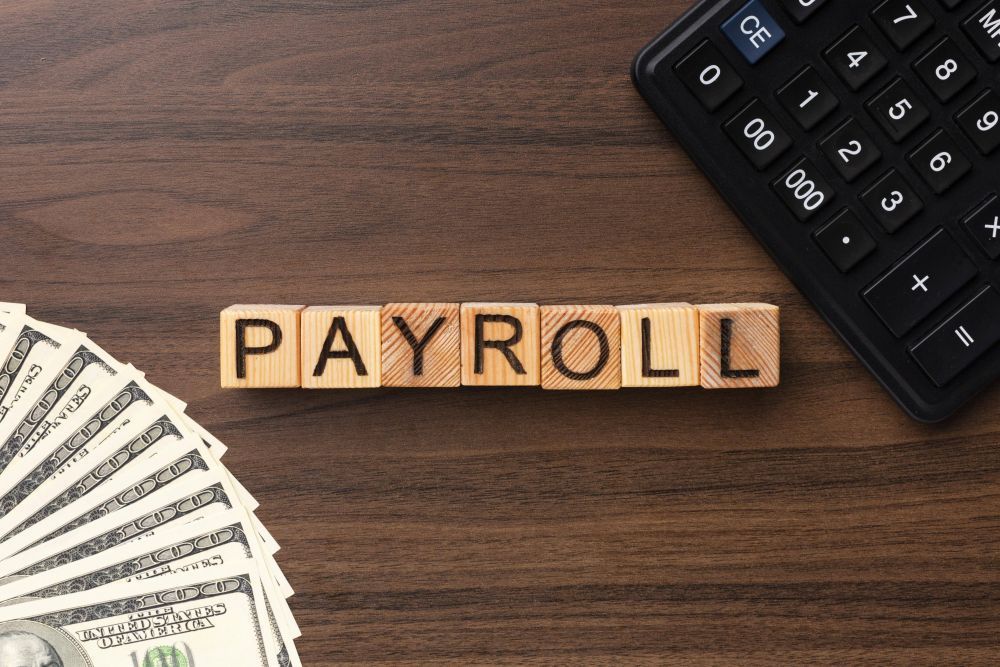 professional-contractual-payroll-services-for-businesses-big-0
