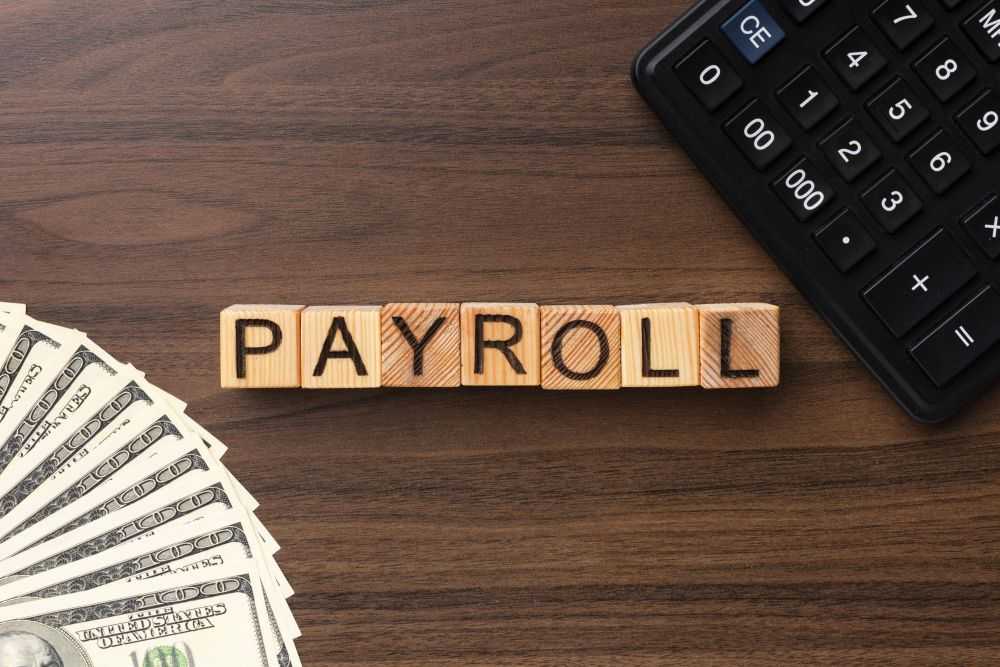 professional-contractual-payroll-services-for-businesses-big-0