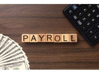 professional-contractual-payroll-services-for-businesses-small-0