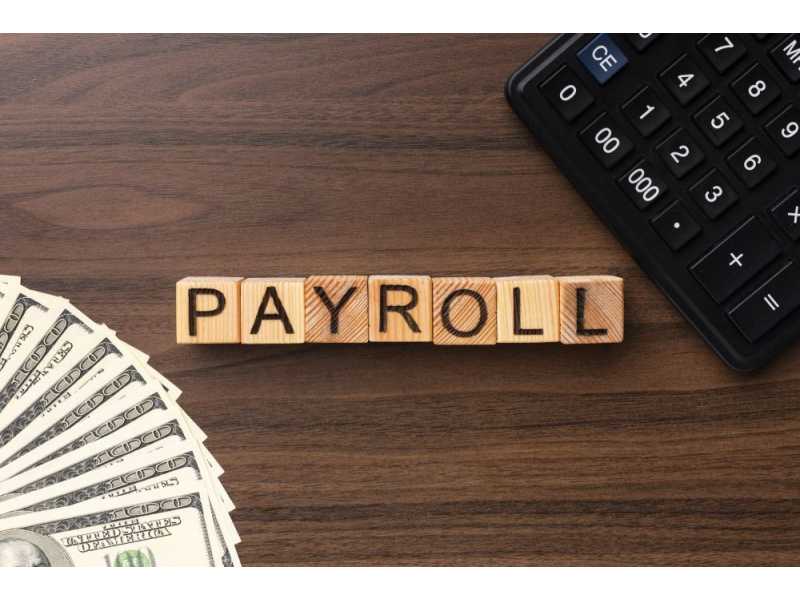 professional-contractual-payroll-services-for-businesses-small-0