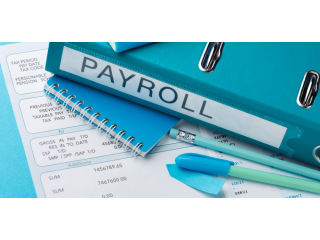 reliable-payroll-management-services-in-india-for-businesses-small-0