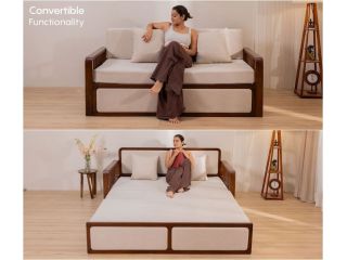 sofa-cum-bed-for-homes-that-never-stop-moving-small-2
