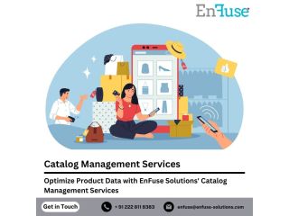 optimize-product-data-with-enfuse-solutions-catalog-management-services-small-0