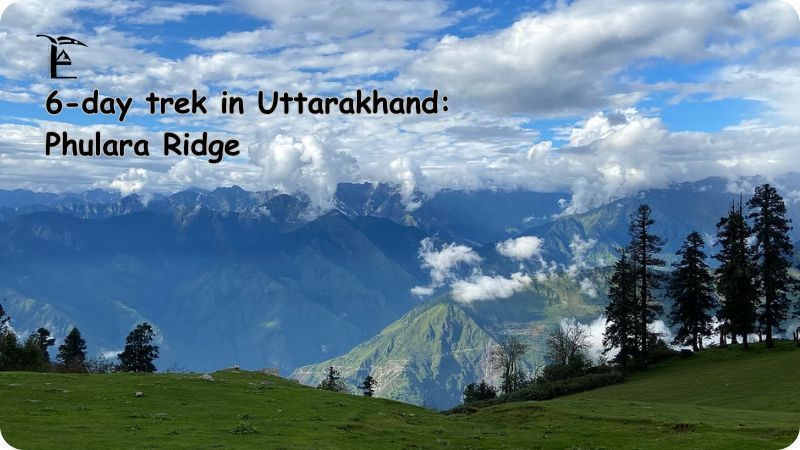 phulera-ridge-trek-big-0
