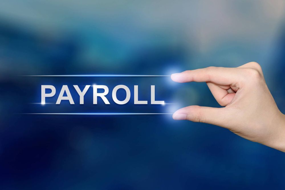 reliable-payroll-providers-in-india-for-complete-compliance-support-big-0