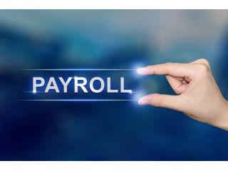 reliable-payroll-providers-in-india-for-complete-compliance-support-small-0
