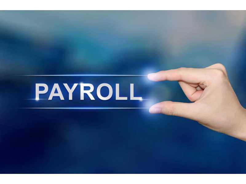 reliable-payroll-providers-in-india-for-complete-compliance-support-small-0