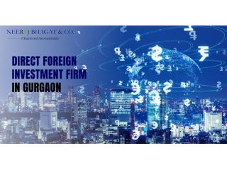 direct-foreign-investment-firm-in-gurgaon-small-0
