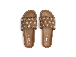 buy-stylish-flat-footwear-for-women-online-in-india-small-0
