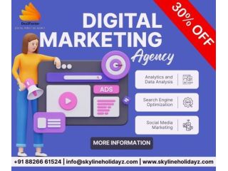 boost-online-growth-with-a-digital-marketing-agency-30-off-small-0