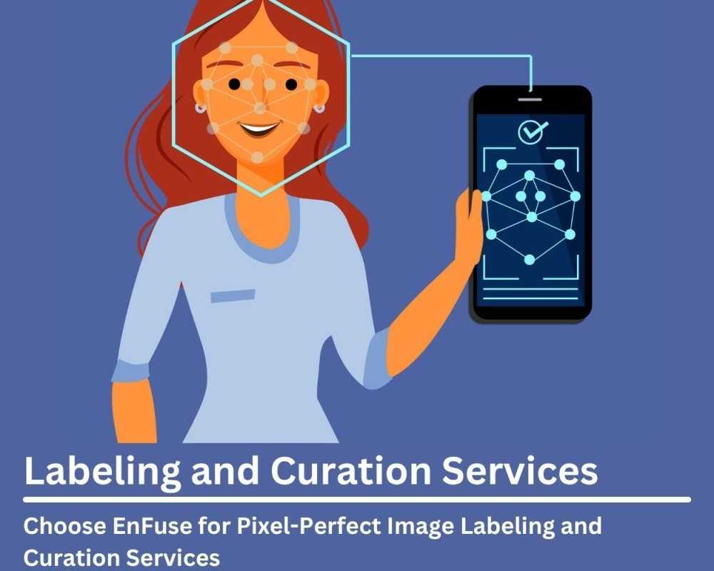 choose-enfuse-for-pixel-perfect-image-labeling-and-curation-services