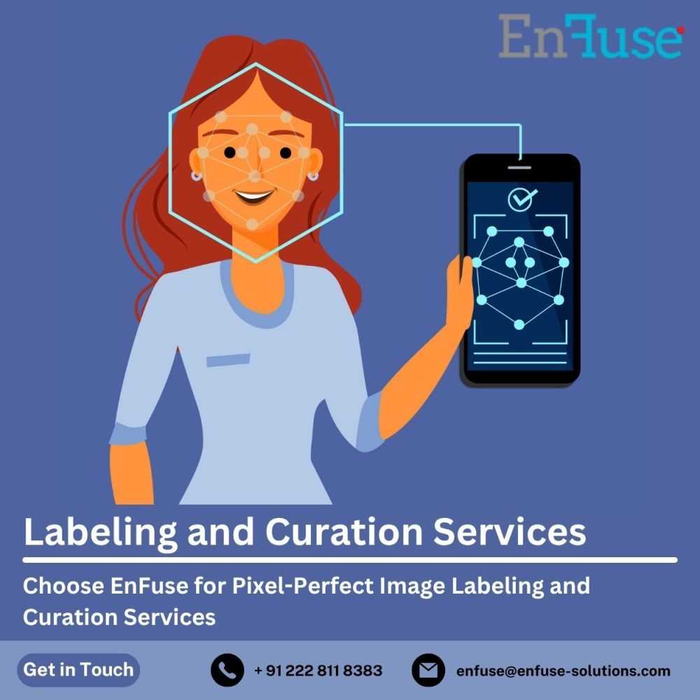 choose-enfuse-for-pixel-perfect-image-labeling-and-curation-services-big-0