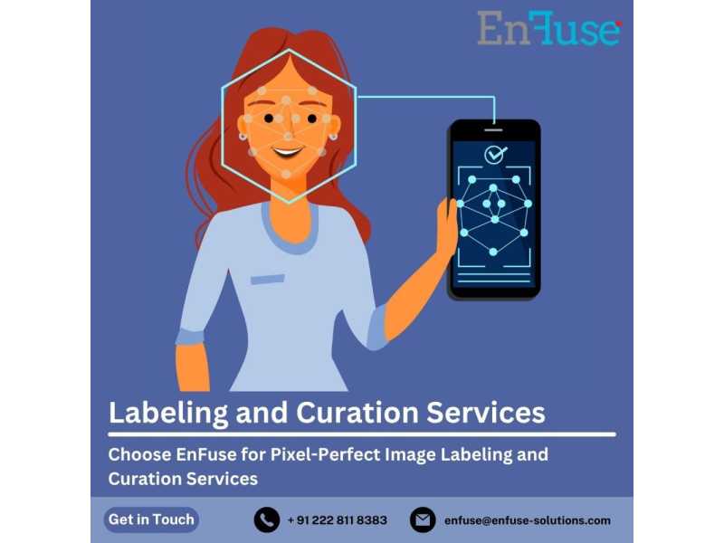 choose-enfuse-for-pixel-perfect-image-labeling-and-curation-services-small-0