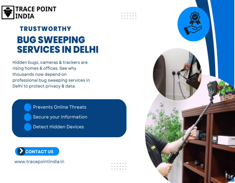 why-more-people-depend-on-bug-sweeping-services-in-delhi-big-0