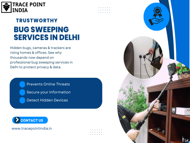 why-more-people-depend-on-bug-sweeping-services-in-delhi