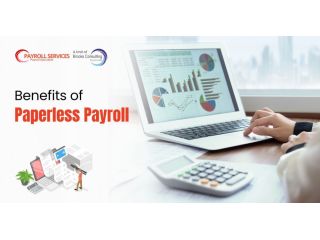 reliable-paperless-payroll-services-for-hassle-free-salary-processing-small-0