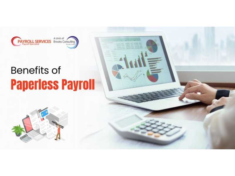 reliable-paperless-payroll-services-for-hassle-free-salary-processing-small-0