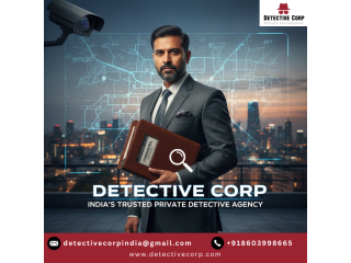 professional-private-detectives-you-can-rely-on-small-0