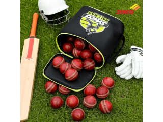 synco-cricket-ball-bag-polyester-bag-easy-to-carry-32-balls-small-4