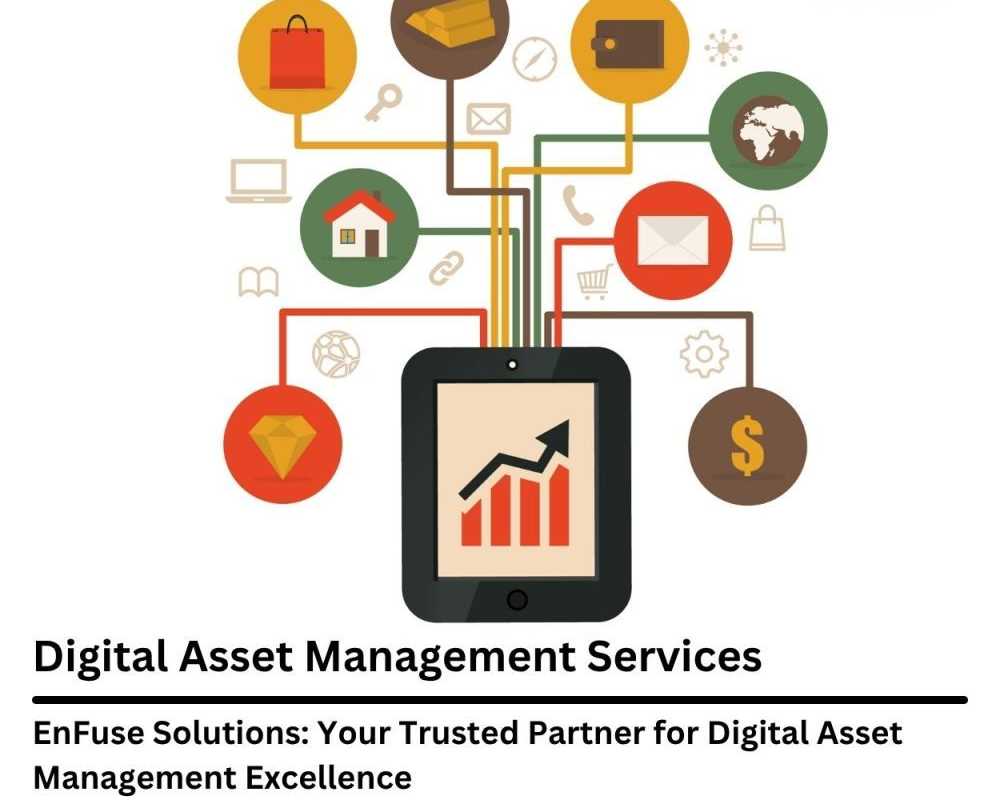 enfuse-solutions-your-trusted-partner-for-dam-excellence