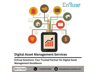 enfuse-solutions-your-trusted-partner-for-dam-excellence-small-0