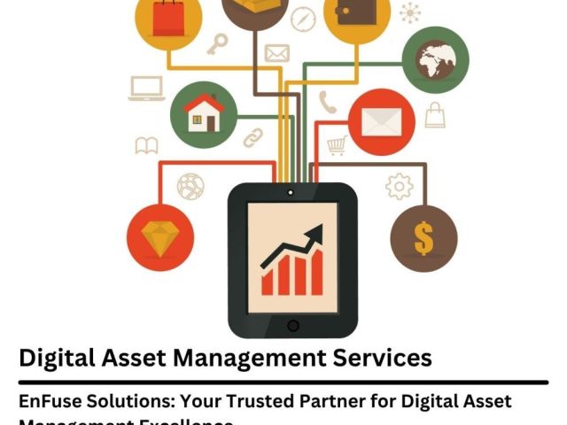 enfuse-solutions-your-trusted-partner-for-dam-excellence