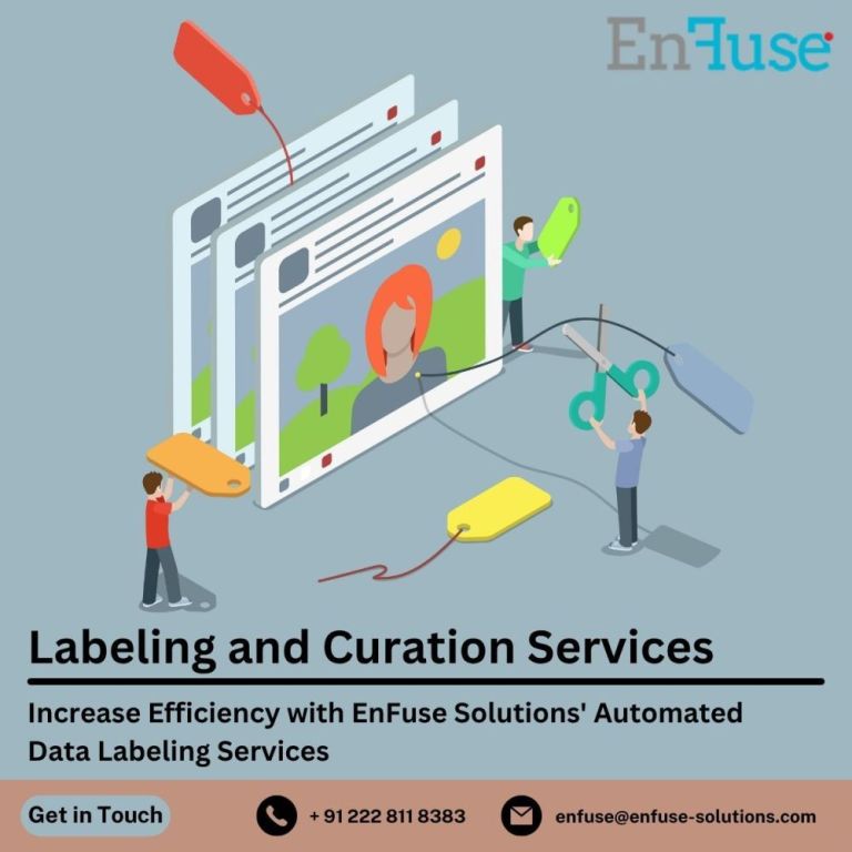 increase-efficiency-with-enfuse-solutions-automated-data-labeling-services-big-0