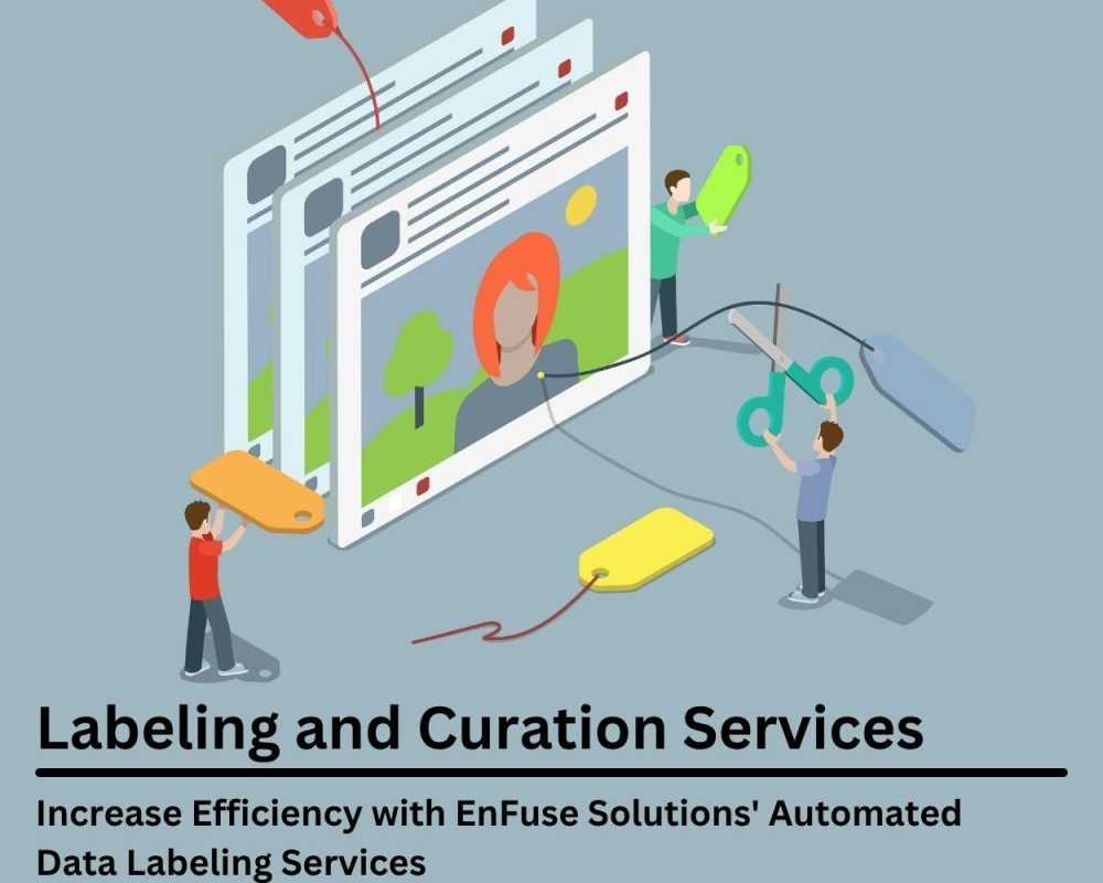 increase-efficiency-with-enfuse-solutions-automated-data-labeling-services