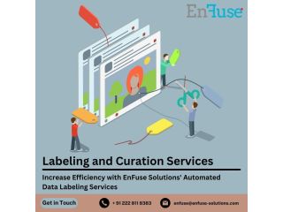 increase-efficiency-with-enfuse-solutions-automated-data-labeling-services-small-0