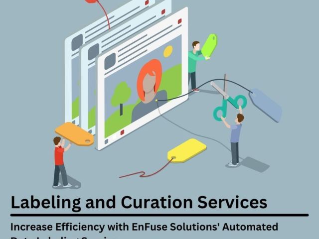 increase-efficiency-with-enfuse-solutions-automated-data-labeling-services