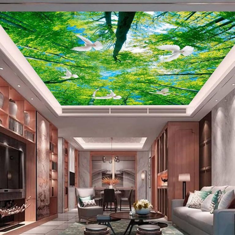 stretch-ceiling-manufacturer-in-india-big-2