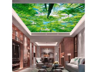 stretch-ceiling-manufacturer-in-india-small-2