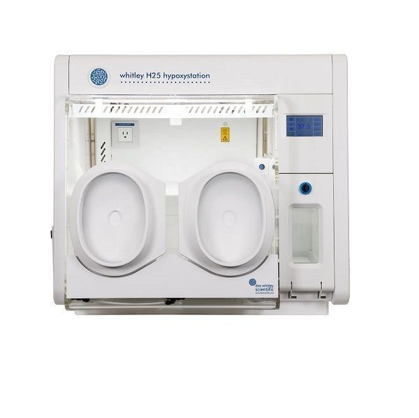 precision-hypoxic-workstation-in-india-lab-technologies-big-0