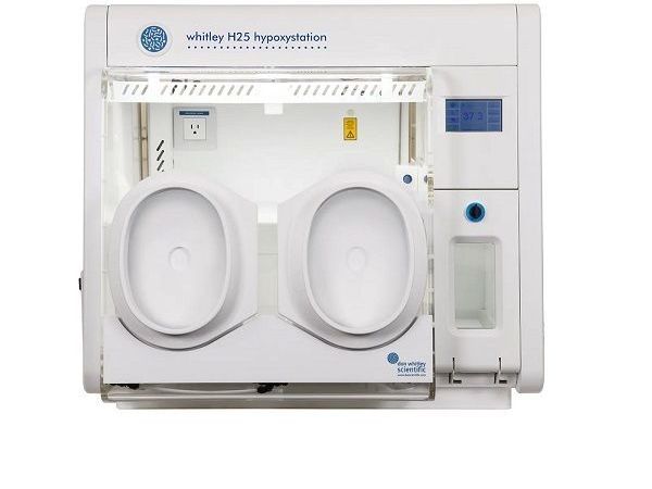 precision-hypoxic-workstation-in-india-lab-technologies