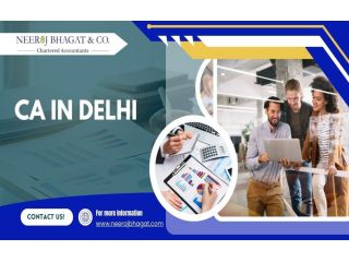 experienced-ca-in-delhi-for-tax-filing-business-compliance-small-0
