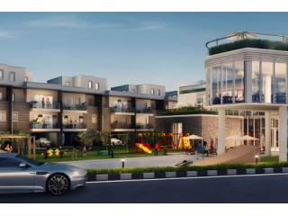 a-paws-itive-lifestyle-at-smartworld-nature-court-small-2