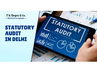 statutory-audit-in-delhi-expert-financial-compliance-review-small-0