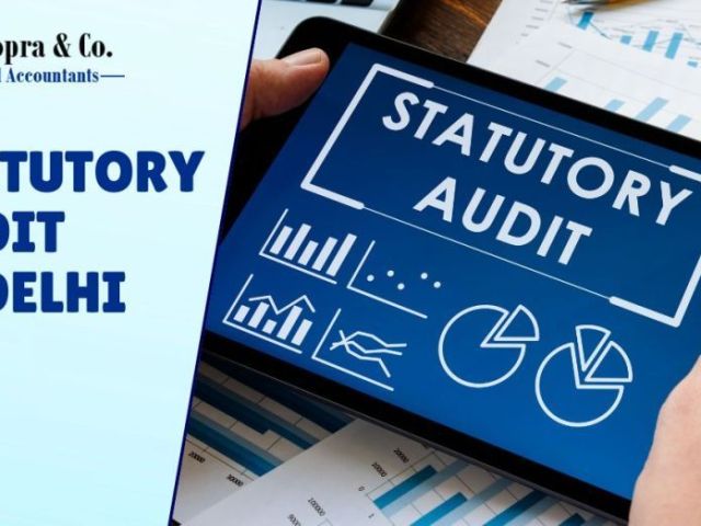 statutory-audit-in-delhi-expert-financial-compliance-review